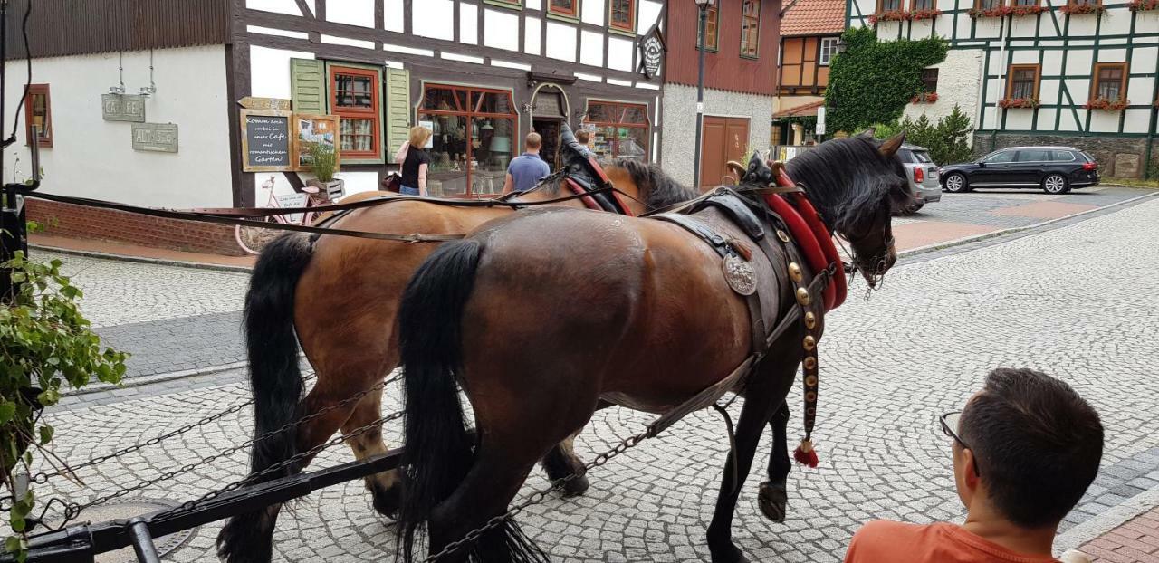 Art Apartment - Harz Stolberg  ภายนอก รูปภาพ